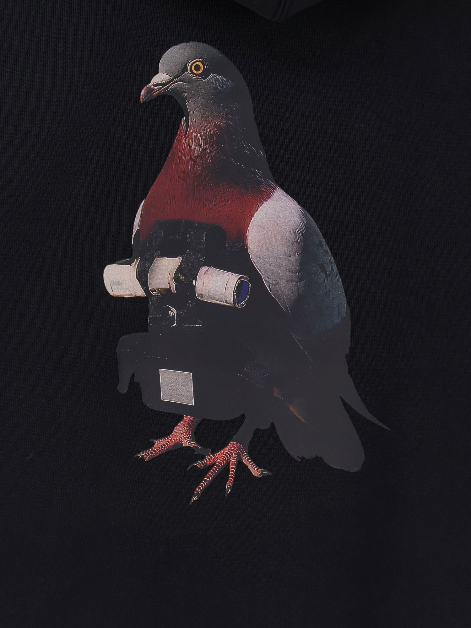 Felpa in cotone - Image 3