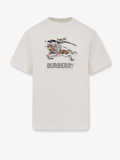 Organic cotton t-shirt