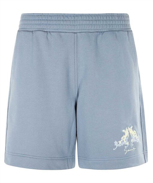 Givenchy NEW BOARD Shorts