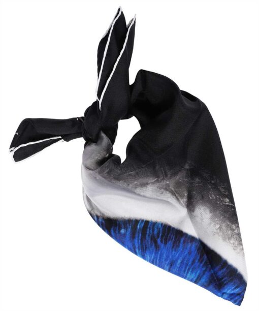 Alexander McQueen IRIS Scarf