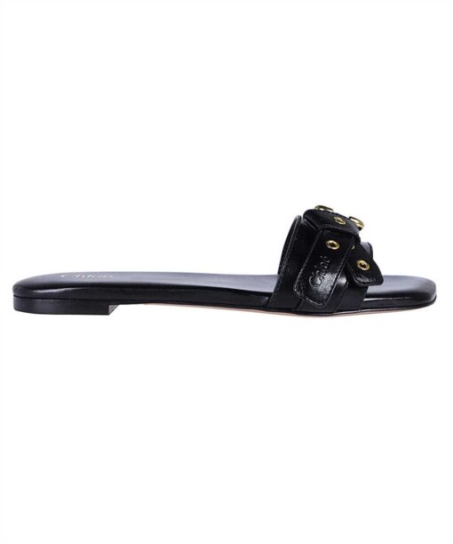 Chloé MAE Slides