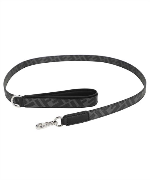 Fendi Dog leash
